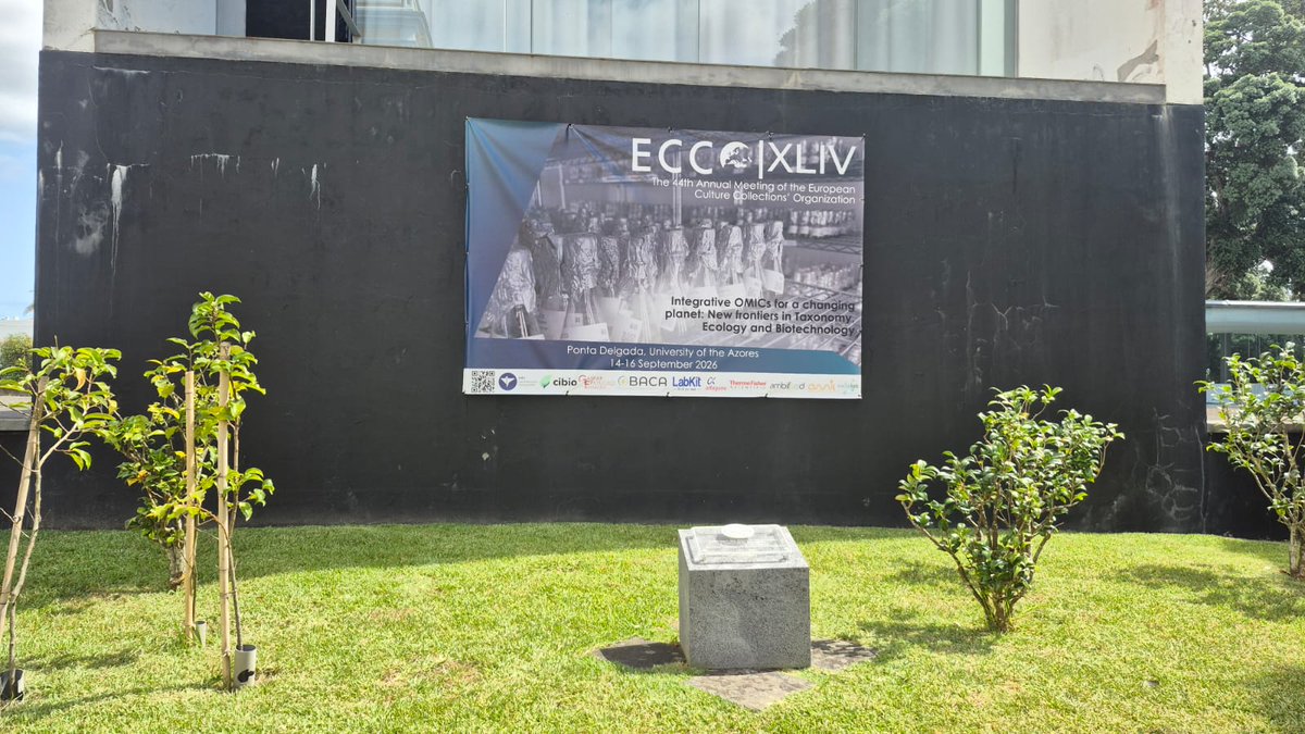 IEOVigo tweet picture