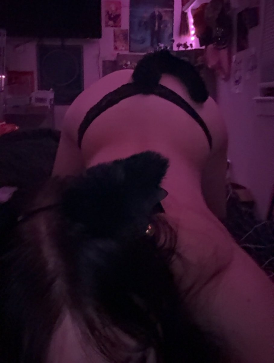 kittybun420's tweet photo. kitty stretchinggg 
#catgirl #teen #nsfwtwt https://t.co/3XC9Ym9kFP