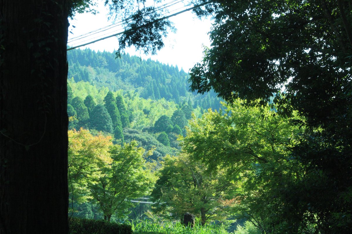 chisai0120's tweet photo. https://t.co/Iqt2XyidpH