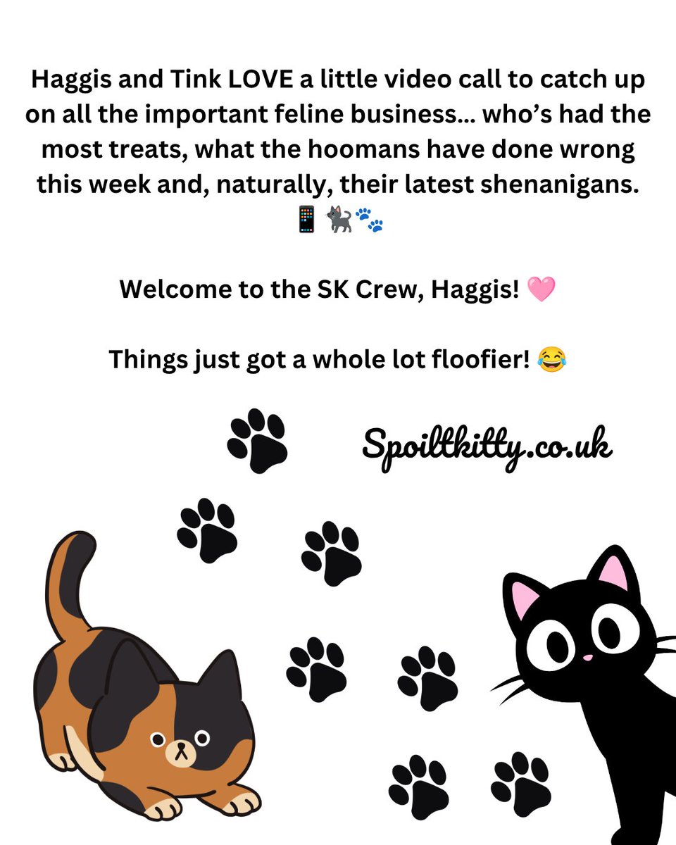 Spoilt_Kitty_'s tweet photo. 🐾🩷 NEW SK CREW FLOOF ALERT!
Welcome to the SK Crew, Haggis! 🩷
Things just got a whole lot floofier! 😂
#SpoiltKitty #SKCrew #HaggisAndTink #FelineShenanigans #FloofSquad https://t.co/EWAO5rJscr