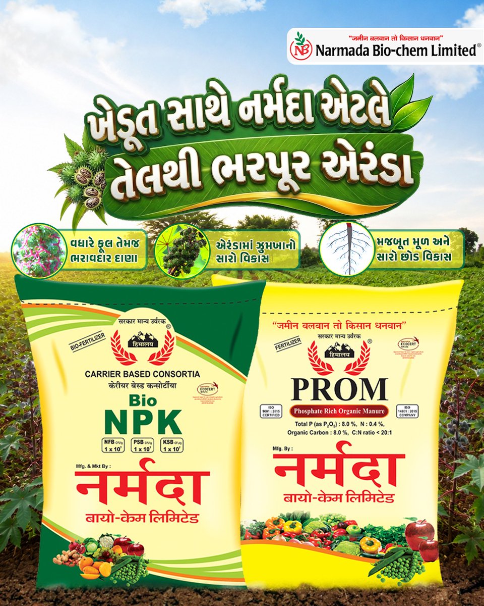 nbclindia's tweet photo. ખેડૂત સાથે નર્મદા એટલે તેલથી ભરપૂર એરંડા!

એરંડામાં વધારે ફૂલ તેમજ ભરાવદાર દાણા, સારો વિકાસ અને મજબૂત મૂળ માટે નર્મદા Bio NPK તથા PROM સાથે પાકને આપો યોગ્ય પોષણ.

સારો વિકાસ • ભરપૂર દાણા • વધુ તેલ

નર્મદા બાયો-કેમ લિમિટેડ,
જમીન બલવાન તો કિસાન ધનવાન

#Castor #CastorFarming https://t.co/HvvZK2ZPgL