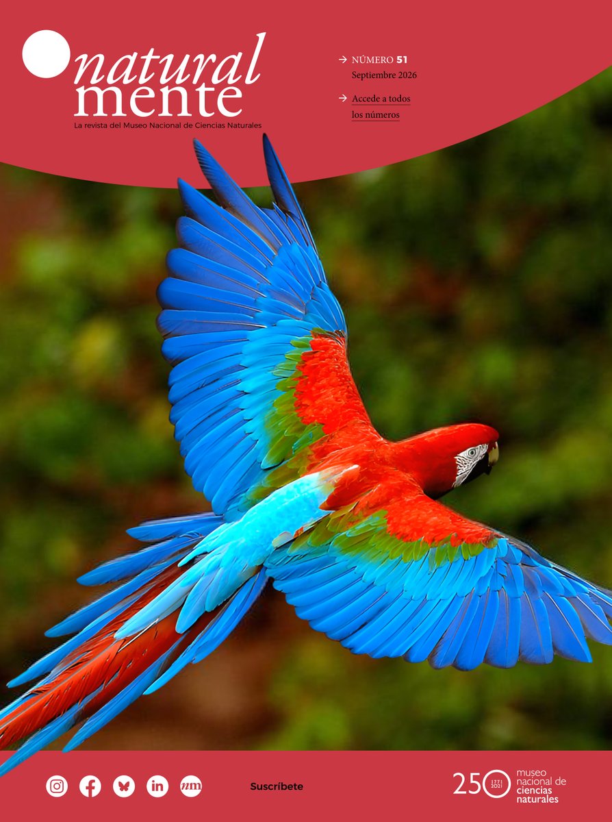 mncn_csic's tweet photo. ¡Ya podéis leer #NaturalMente 51! Este número de nuestra revista digital explora la unión entre arte y ciencia, dos disciplinas que a menudo se mantienen artificialmente separadas, pero que el MNCN reúne bajo el mismo techo. ¡Leedla y compartidla! https://t.co/JgPuVcIzUj https://t.co/GpFQ2z6u84