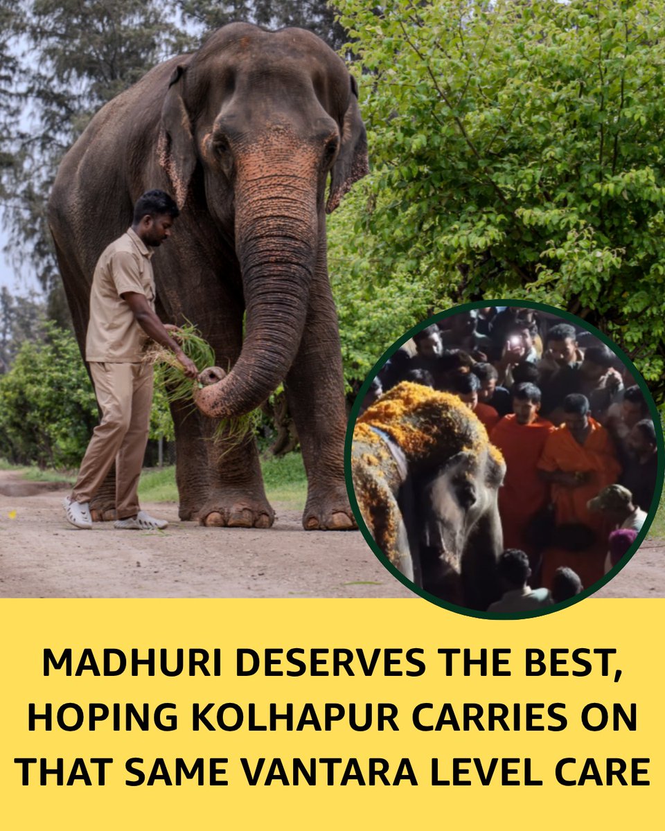 Arpitdube24's tweet photo. Madhuri’s story shows why recovery should be understood as a journey rather than a single destination. ❤️
https://t.co/chOpEeorGk