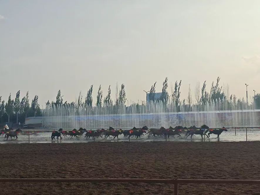 Ulaanqab's tweet photo. This autumn, dive into the upgraded Ulaanqab Night for a whirlwind of surprises! 

Discover revamped attractions, immersive ethnic performances, a unique grassland feast, and authentic local cuisine. 🤩 https://t.co/W4zrEef9tm