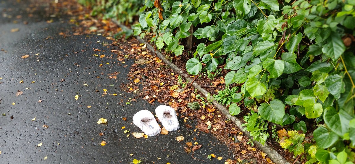 AlistairFergu11's tweet photo. 5 bags on east side of Leven today. I seem to have discovered a mystery sleepwalker too! #litterpicking #litterfree #ReportingLitter #keepbritaintidy #LeaveNoTrace #KeepScotlandtidy
#SpringCleanScotland #Litter
#Dumbdumpers
#WDCouncil #bigclydecleanup #greentangerine https://t.co/THLh8Q5HYL