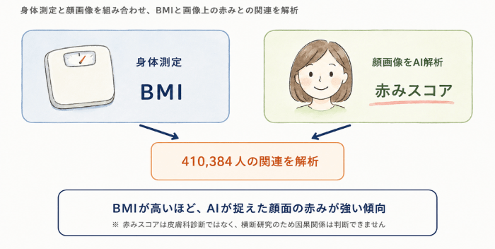 otsukaman's tweet photo. 大阪万博の来場者41万人のデータを解析したところ、BMIと顔の赤みスコアが相関することがわかりました。

DOI：10.1016/j.jdin.2026.07.010 https://t.co/244PllZTMx