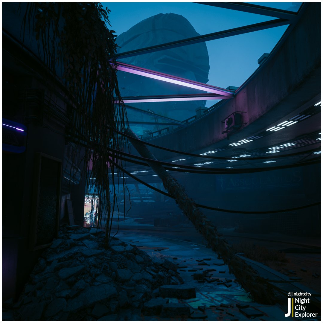 J_in_Night_City's tweet photo. 📷 captured in Photo Mode - Cyberpunk 2077
#CyberpunkPhotography #NightCity #Cyberpunk2077 #PhotoMode #cdproject https://t.co/xuCkiCb7wL