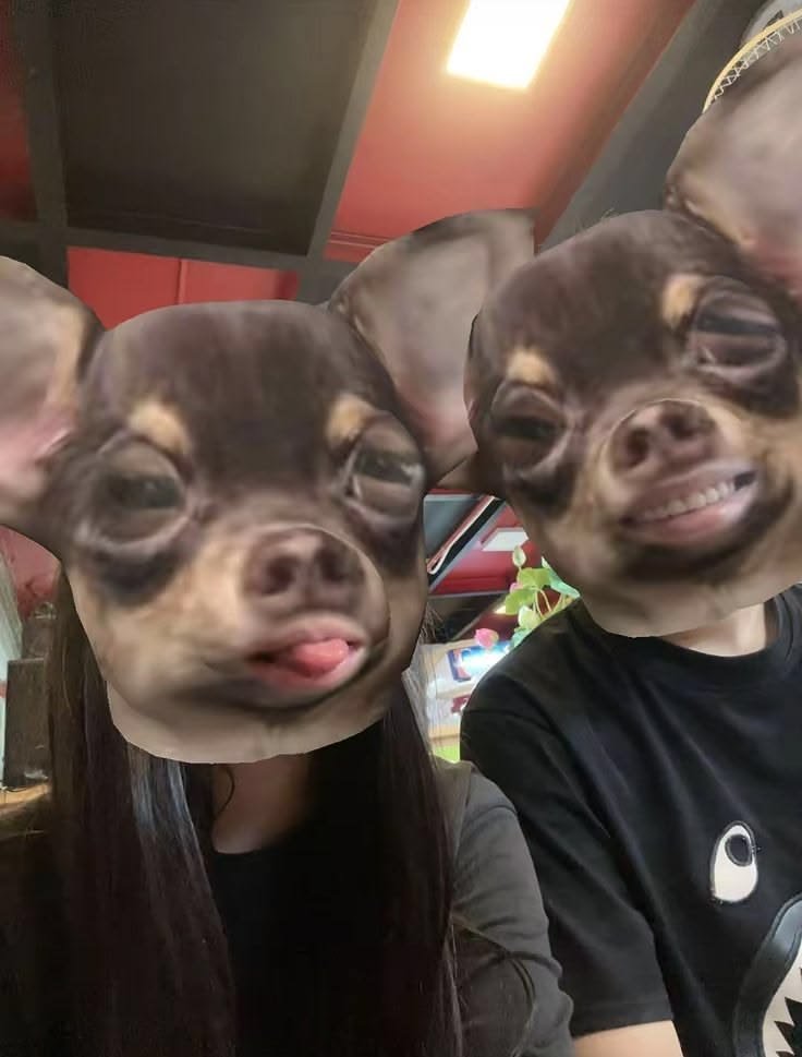 menyigi's tweet photo. Ibukku melahirkan seorang pangeran dan seekor Sugeng. Terima kasih Ibuk atas jasamu. Harusnya 1 anak cukup, Bu. https://t.co/8Mv4FI7rqa