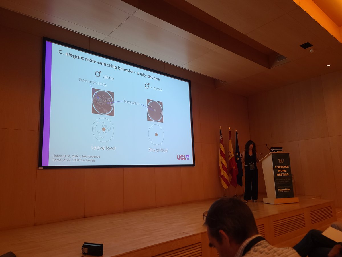 gusaneros1's tweet photo. @IBV_CSIC @IISLaFe @monkeyplatillos @thermofisher @wormbuilder @KAUST_News @adelcarmenf @nstroustrup1 @CRGenomica @NeuroAlc @GWtweets @icvs_uminho @AMV_REDOX @ibis_sevilla @i3S_UPorto @CABD_UPO_CSIC @Claycomb_Lab @BianchiLab @Inserm_EN @CNRS @TheVilchezLab @CECAD_ @CE3CResearch @Olmedo_lab @unisevilla @artal_sanz @Biopolis_SL Morning session chaired by Montse Porta @Rabbs20 @NMSBlab and @MfPez @IBMB_CSIC

👩‍🎓Arantza Barrios @uclnews
🧑‍🎓Israel Campo-Bes @IBV_CSIC
🧑‍🎓Andrés Velázquez-Mudarra @CeronLab @idibell_cat @IBV_CSIC https://t.co/4y1UCTNkzH