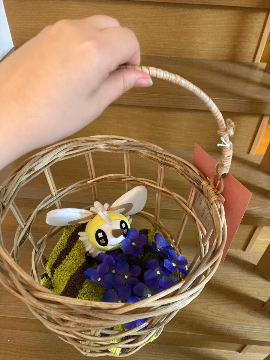 slmesaba's tweet photo. 推し活をしたくてバッグを買ったんだけれど、これは一般的な推し活バッグではなく、ぬいぐるみを生き物とみなして生活しているヤバい人の虫かご……

いや、まあ、実際そうなんだけれど… https://t.co/S6want2is5