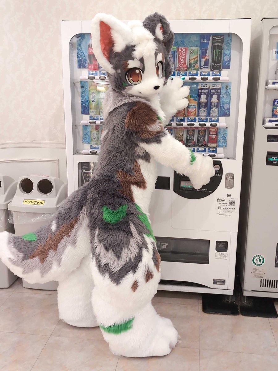 urutakuns's tweet photo. なに飲みたい？
#FursuitEveryday https://t.co/37W4szfFdA