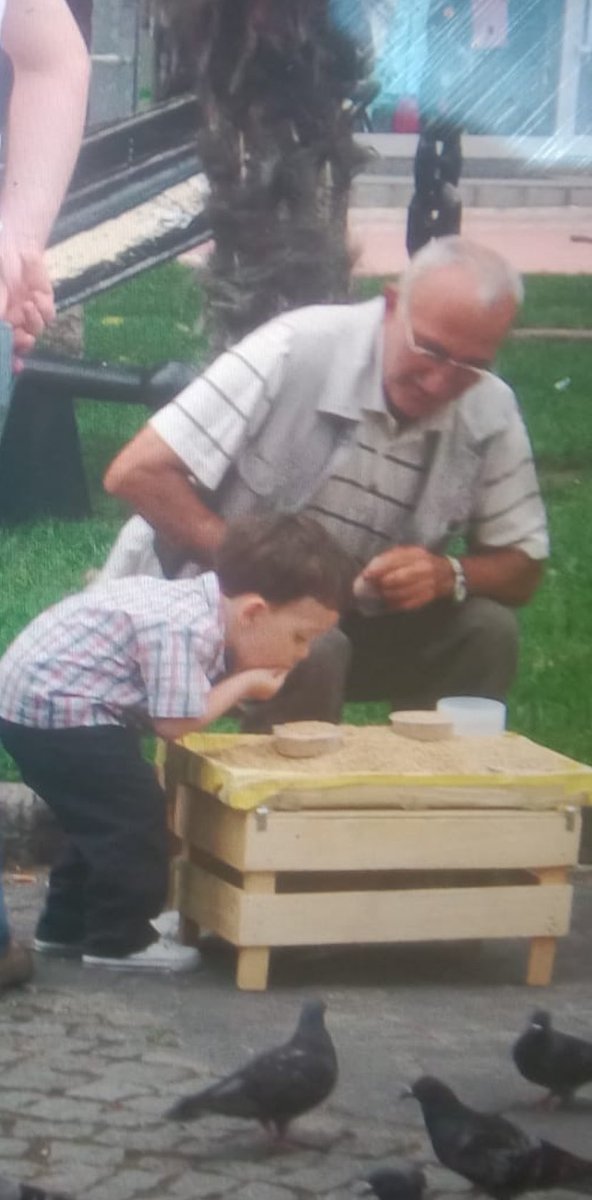yoldasko's tweet photo. 2010. tatlı tatlı kuşlara yem veriyorum. kardeşim de kuş yemi yiyor… https://t.co/C9c95r5dia