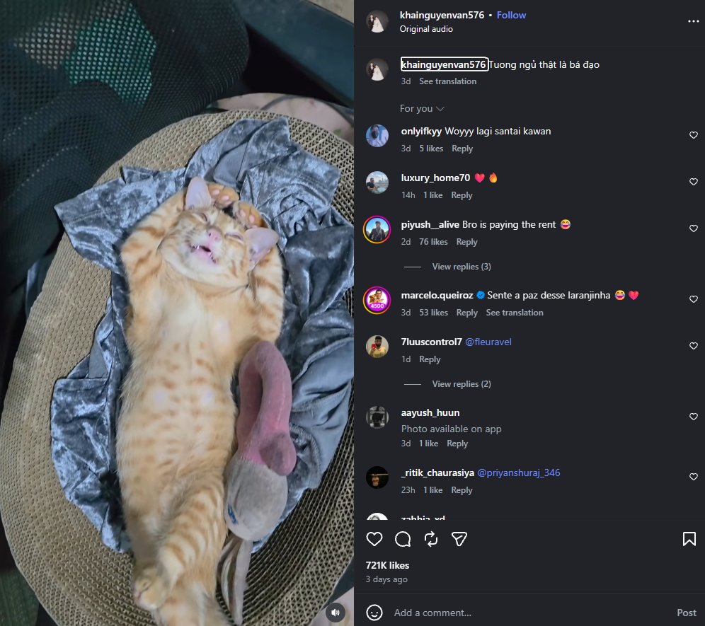 wallstreetdev67's tweet photo. JUST FOUND THE NEXT CHILLGUY AND ITS MEGA VIRAL

This kitty is going mega viral currently on Instagram, with 7M VIEWS and 700K LIKES in just 2 days, and another video with 10M VIEWS.

All of the content is just this, the kitten sleeping in this position and all of the videos are mega viral, and it's a literal MEME. 

https://t.co/MAmj9uO9DT (7M VIEWS)

https://t.co/GmWNBDfSQ4 (10M VIEWS)