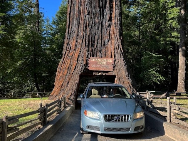 ericreed46950's tweet photo. I spent a week driving California’s coast in my 2009 Volvo V70. Beyond the rhetoric, its scenery and biodiversity are unmatched. The wagon handled 2, 000 miles comfortably, though it’s time for tires, engine mounts, and a fog light. https://t.co/71ekDNytZG
