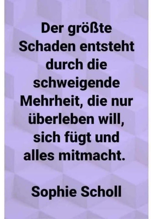 Schurl18's tweet photo. @vanderbellen https://t.co/sTwyTD2j7g