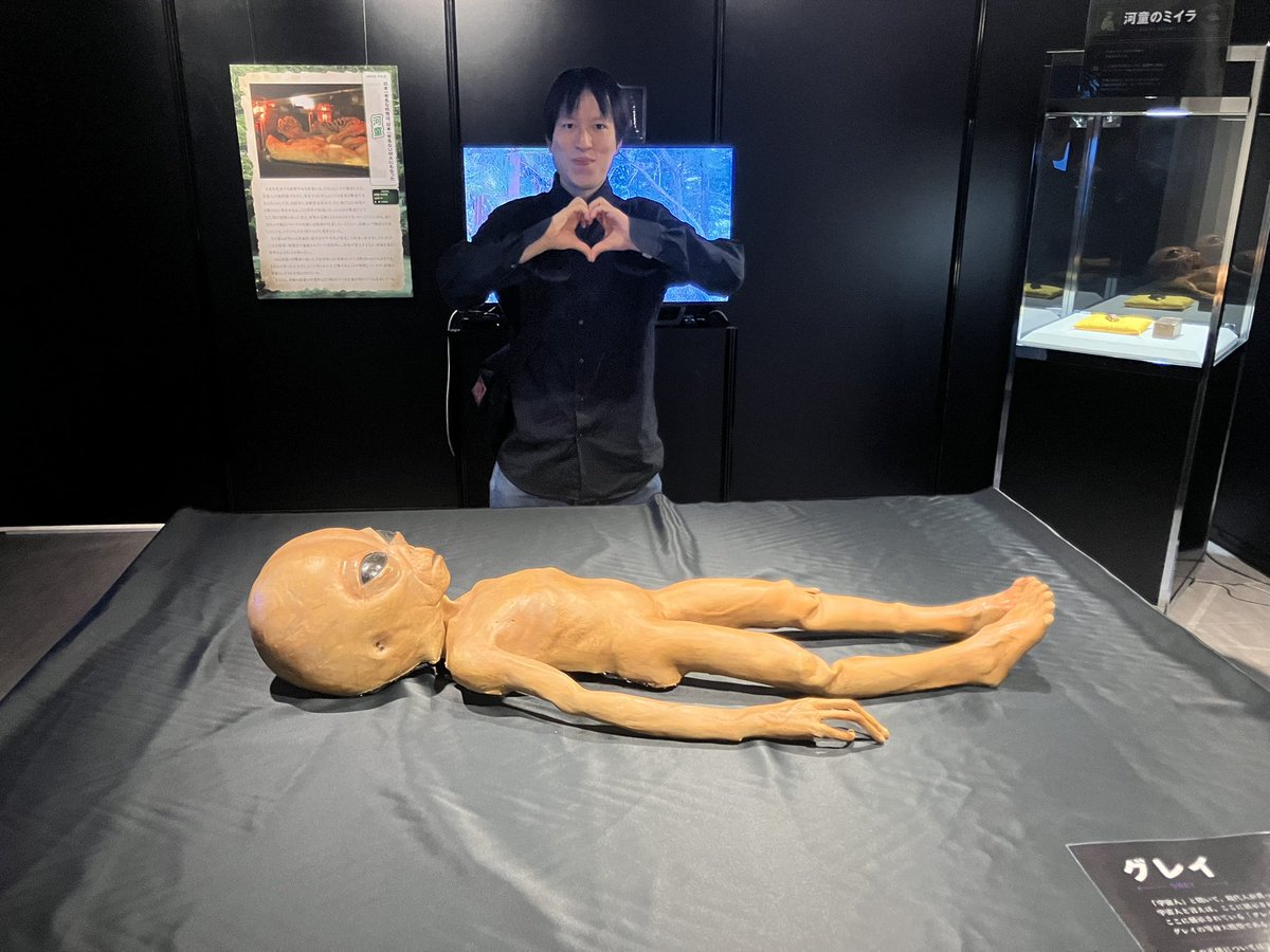 bakanoitou's tweet photo. #未確認生物UMA展 はグレイや甲府星人といった宇宙人も展示されています！目撃した人が存在する以上、彼らもUMA！バルタン星人やメフィラス星人がウルトラ怪獣に含まれるように、グレイや甲府星人も実在する怪獣に含まれます！ https://t.co/4Hef7ohkRr