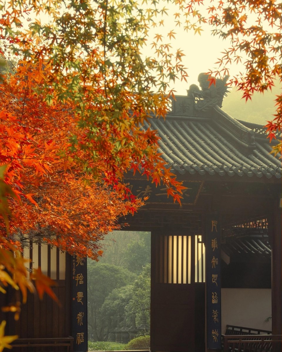 tripervn's tweet photo. 🍂Hàng Châu vào thu, Tây Hồ soi bóng trời thu, hàng cây nhuộm vàng trong nắng nhạt. Rời đi rồi, v��n còn vương một chút thương nhớ.
🔗 https://t.co/wH6ssW6KlB

#Hangzhou #WestLake #HangzhouAutumn #ChinaTravel #WestLakeBeauty #Triper https://t.co/g4xnZ8gZvX