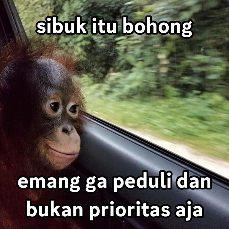 ellkijang0_o tweet picture