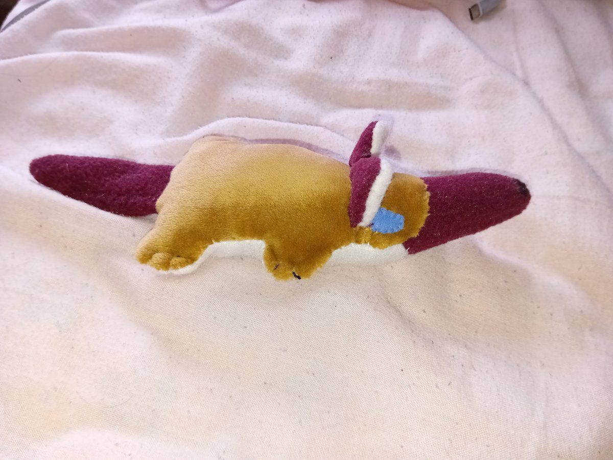 KatarinaJonss11's tweet photo. #8bitTenna #pakicetus #PaleoAU
I also ended up making a plush of Pakicetus as well. I think it's a shame some prehistoric animals don't get a plushie or toy form. That's why it like giving them a plush form and give them love and attention + 8bitTenna got a new friend too :3 https://t.co/ZXhwV4Re6Z