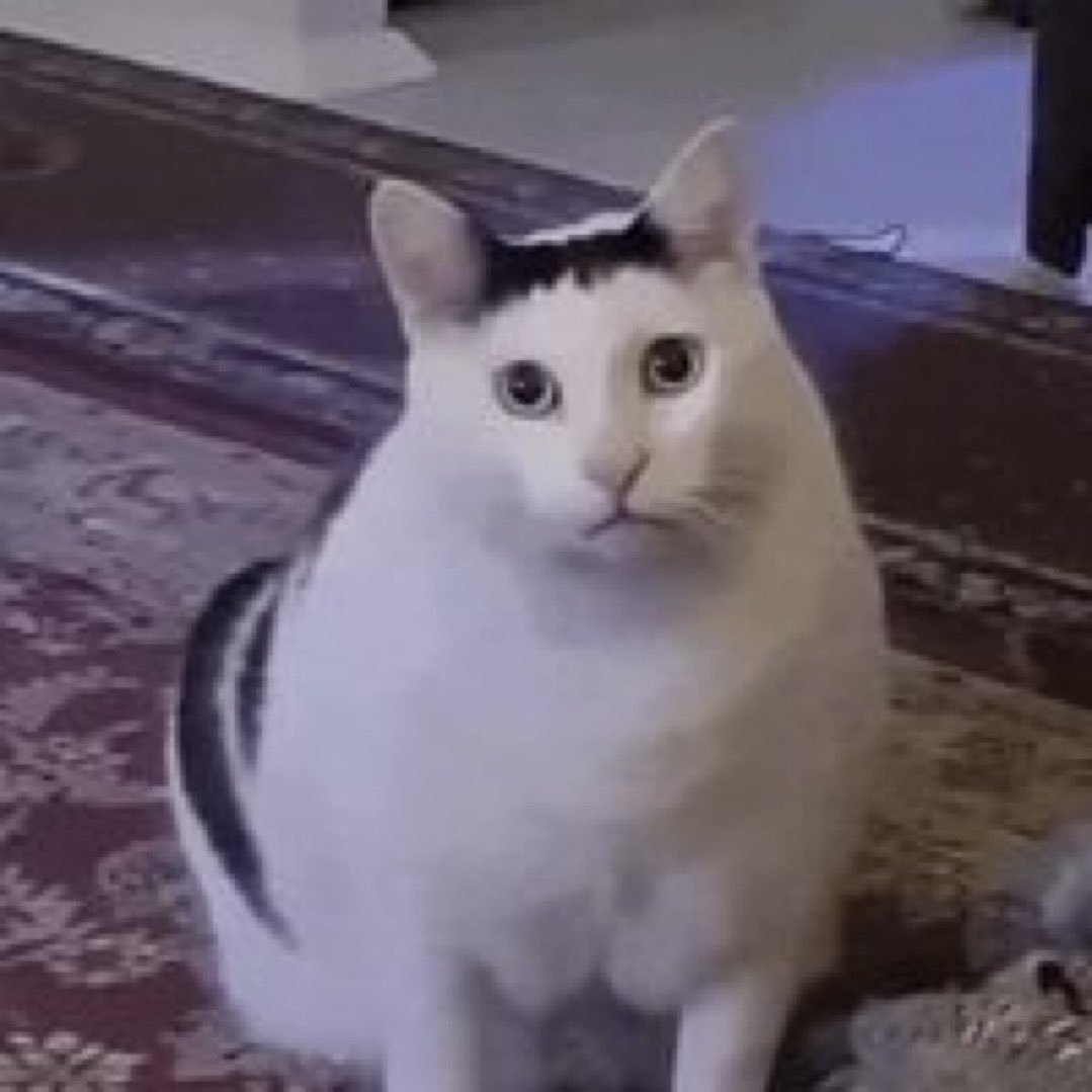 Log1cLockX's tweet photo. HUHCAT is a good example of how quickly something can move from developer experiment to market on Solana.

The starting point for $HUHCAT wasn’t a complicated protocol or a team announcing two years of milestones. It was much smaller and stranger: take a tiny pixel cat and experiment with making the image part of the onchain coin creation itself.

That immediately created a technical question for SOL users. If the image data is actually embedded onchain rather than simply referenced somewhere else, does the token become more than another meme with hosted artwork?

Then the $SOL market did what it always does and turned the question into speculation.

That’s basically why HUHCAT exists. It gives the community a token around an onchain art experiment, while the pixel cat becomes a recognizable artifact people can meme, collect and trade around.

There’s still debate around the broader “first image” claims, and none of the technical novelty removes normal fresh memecoin risks like thin liquidity, concentration or brutal volatility.

But the origin itself is much more interesting than “we launched another cat.”

https://t.co/O71u4dNOOE

CA: A9AHYeqb7nQk7LZUraw7rBCzYRjy2DRvE6NqWfFHKRdH