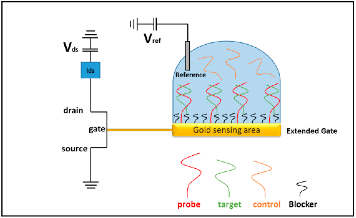 Biosensors_MDPI's tweet photo. 📣Call for Reading:
#Article
#Detection of miR-155 Using #Peptide #Nucleic #Acid at #Physiological-like Conditions by #Surface #Plasmon #Resonance and Bio-Field Effect #Transistor
By Cannistraro, S. et al.
https://t.co/IPkbIXQy4Q
#Biosensor #OpenAccess #Biosensing https://t.co/PM7PkqYXkk