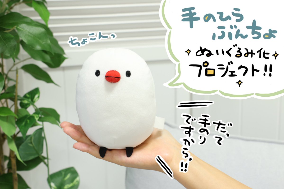 YUhiro87's tweet photo. 🐦クラファン告知🐦

campfire様にお声かけいただき、
『手のひらぶんちょ　ぬいぐるみ化プロジェクト』のクラウドファンディングが開催されることになりました！

期間/ 9月18日(金)18時〜10月18日(日)23時59分まで✨

詳細
https://t.co/Q9p7zvlfAn

お外に連れて行けるお供用としてみなさまにお届けできたらいいな、と思っております！
可愛いサブアイテムがついてくるプランも…！
ぜひお気に入り登録してお待ちください☺️

#ぶんちょ #campfire #クラファン #文鳥グッズ #文鳥