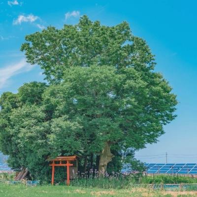 DibiasioB's tweet photo. 🎉 🚀 🧢 🌟 🪐 💎 Just saw a rainbow and I m obsessed https://t.co/FYPNOBRsLN