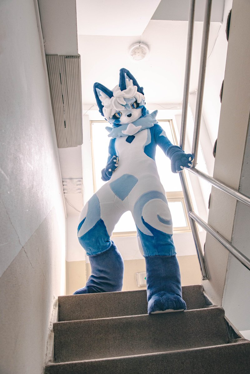 Rigelfoxy tweet picture