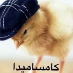 rlllllli9's tweet photo. الدوام تأجل شكراً وزارة التربيه😇 https://t.co/K2vr3l9Oep