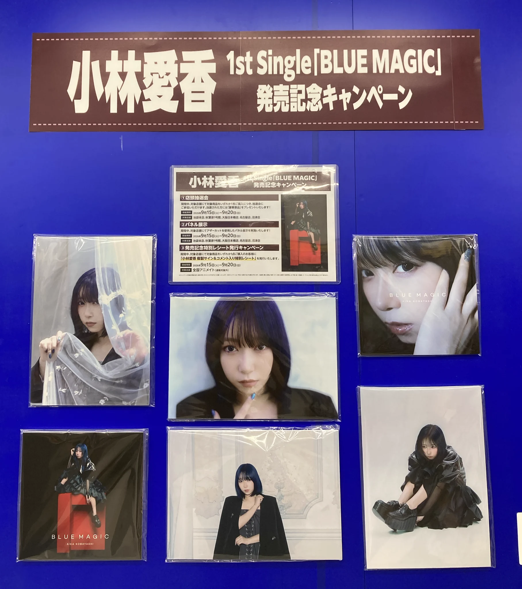 小林愛香 パネル 6点セット アニメイト沼津 on X: 