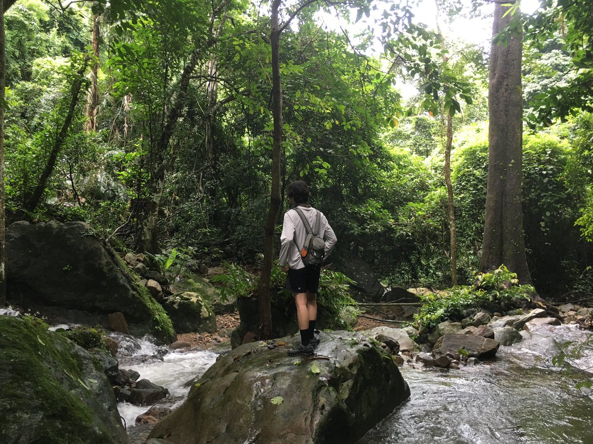 chira_patt's tweet photo. รักป่า รักเขา แล้วรักเรารึยัง😉⛰️
#chira_patt https://t.co/DHcvIN3QtH