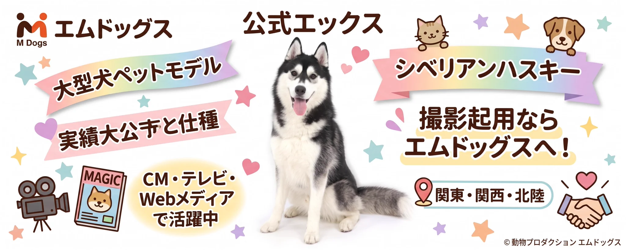 動物プロダクション エムドッグス 公式 (@MDogsjp) on X