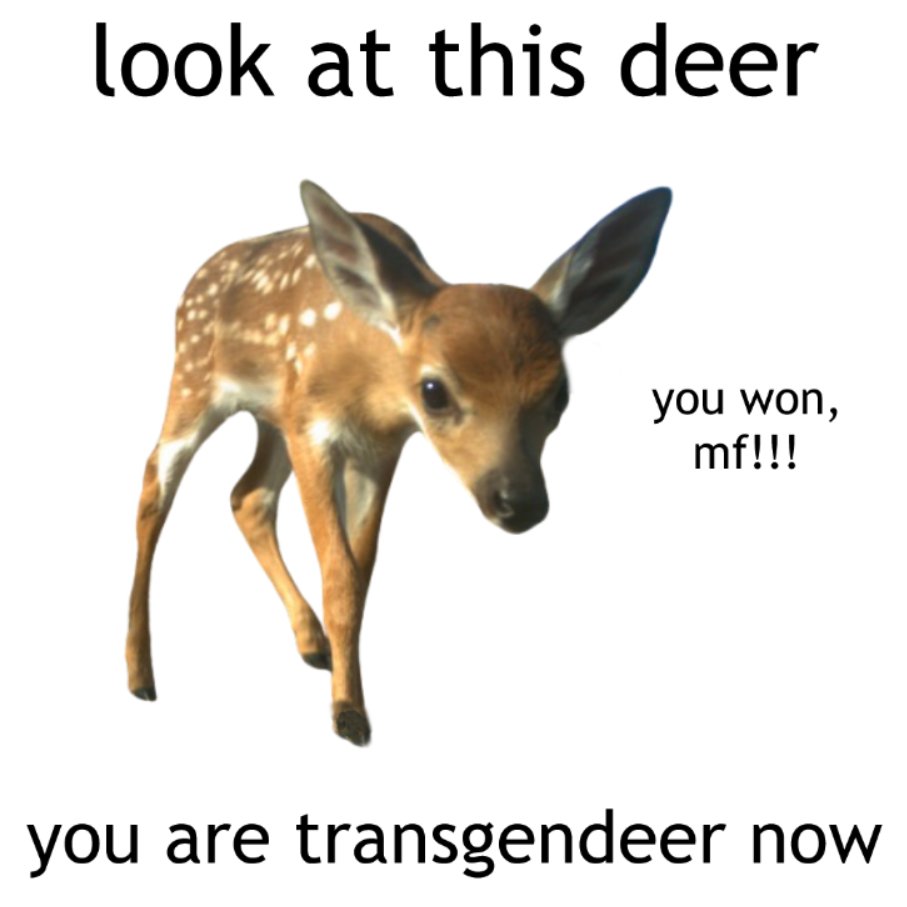 deertexting's tweet photo. https://t.co/F5xVk55vA8