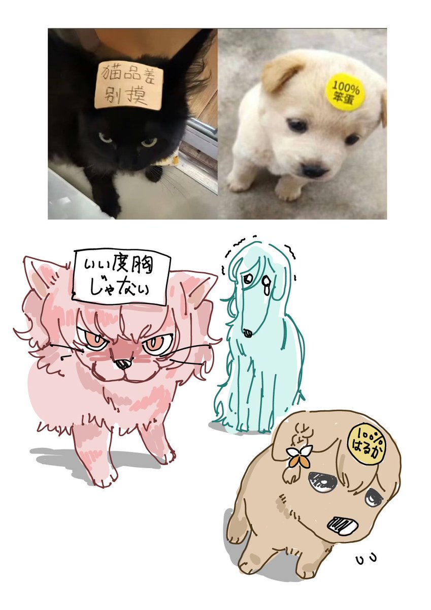 shuhuaisawolf's tweet photo. 有人想看桃愛莉兇貓貓所以我畫了 https://t.co/ornxCUZWMw