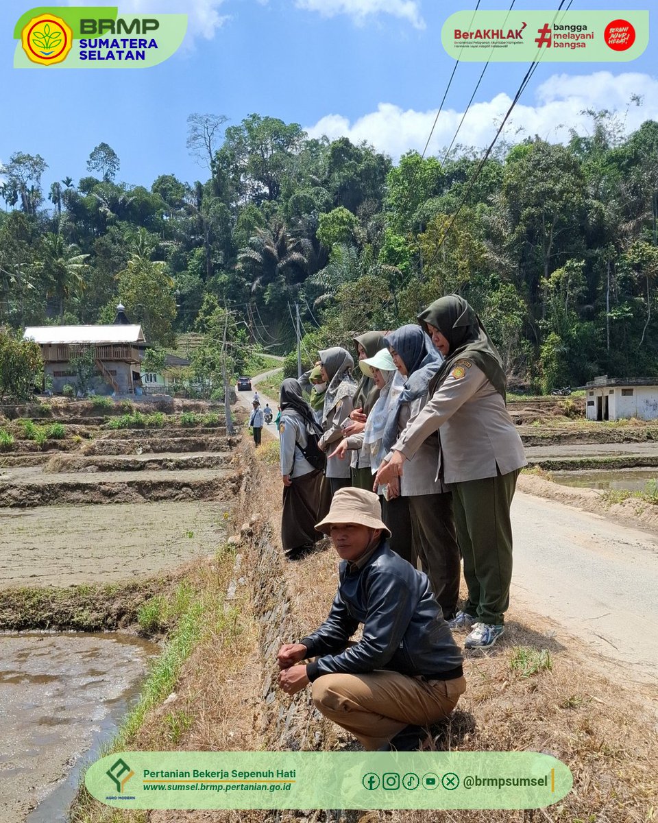 brmpsumsel's tweet photo. BRMP Sumsel Dampingi Penerapan PM-AAS di Desa Sipatuhu Kecamatan Banding Agung, Kabupaten OKU Selatan, sebagai upaya mendukung swasembada pangan. Kegiatan dilanjutkan dengan kunjungan ke lokasi pengolahan kopi.

Baca berita selengkapnya di: 
https://t.co/nmbL4KKJpF https://t.co/nWqpE785VF