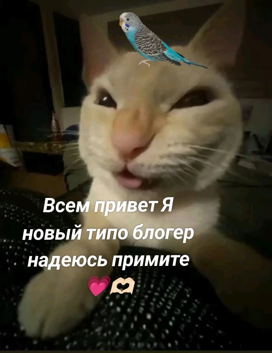 kerytavis's tweet photo. https://t.co/LM8EkfDnGH