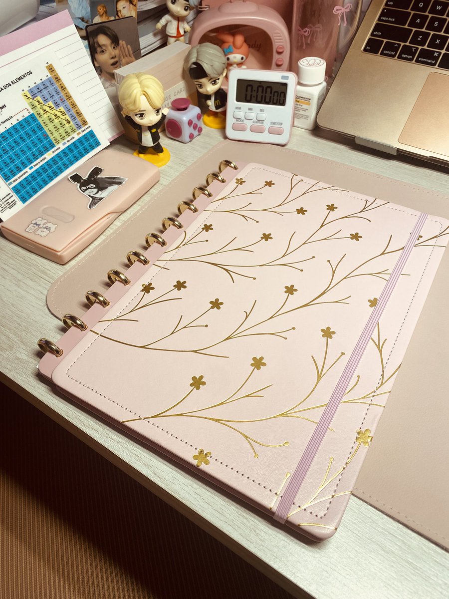 kthvstudy's tweet photo. aquela amiga que só compra caderno porque achou bonito https://t.co/Km9WuzbCut