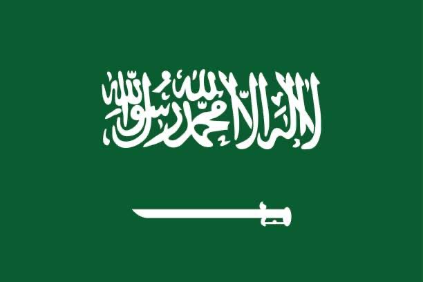 Pakistan_F1rst's tweet photo. We send a message to Crown Prince Mohammed bin Salman and the entire Saudi nation: we, the people of Pakistan, stand with you with all our heart and soul.

#PakistaniStandsWithSaudi https://t.co/40wLs2bGEN