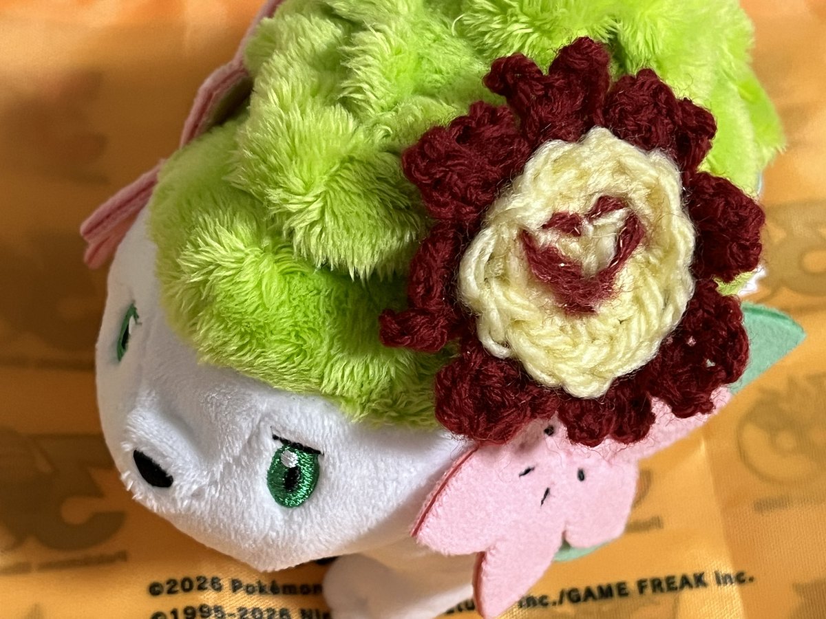 copachans's tweet photo. がんばリボン編んだ🧶(大きすぎた) https://t.co/TNy9XK6bTA
