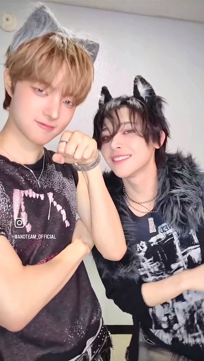 manimomogo's tweet photo. who’s cats https://t.co/nhzBldr6iU