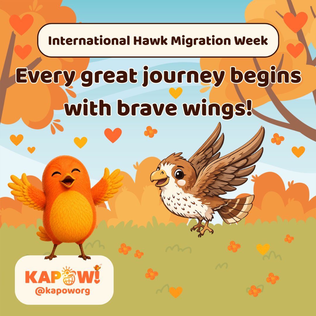 KapowOrg's tweet photo. 🦅🍂 It’s International Hawk Migration Week!

Hawks are taking to the skies on their incredible fall journeys south. 🪽☁️

Sunny says:
🧡 Every great journey begins with brave wings!
Look UP, flock! You never know who might be soaring overhead. 👀🦅

#HawkMigration #BeKAPOW #KAPOW