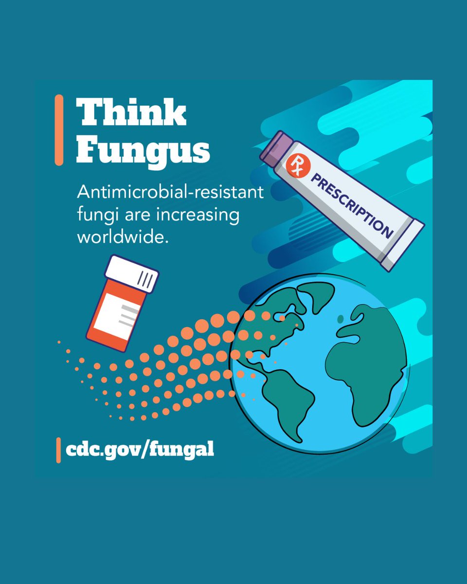 IMMYdiagnostics's tweet photo. Antifungal resistance is a real and growing problem — and it's one most people have never heard of.

With only three classes of antifungals available and no vaccines against fungal disease, resistance means fewer options are working. Resistant infections don't look any different at first — they just don't respond the way they should.

Think fungus.