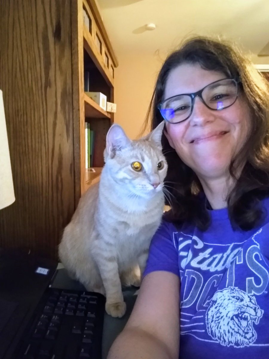 kstatespanish's tweet photo. Dr. Kanost's cat, Cheesestick or Mr. Cheese, helps supervise her translation projects and zoom meeting - he even answers to the name Güero, so maybe he's learning Spanish, too!? https://t.co/Q3pDFrRxwV