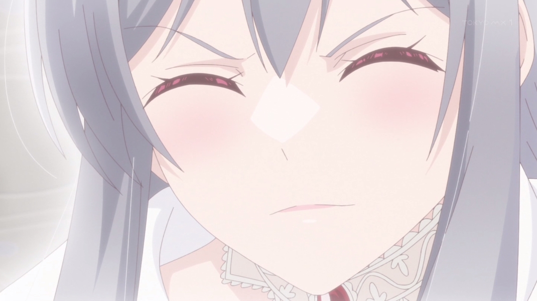 無自覚聖女は今日も無意識に力を垂れ流す 第11話 ツイート画像 1