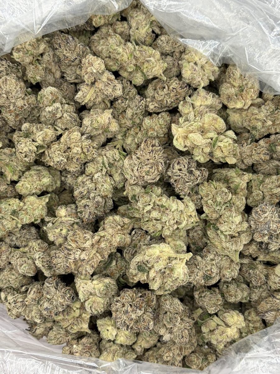 BHorizonzbu's tweet photo. GMO RUNTZ indoors
#nashvillegas #615gas #nashvilleplug #615plug https://t.co/1llg3bgWXg