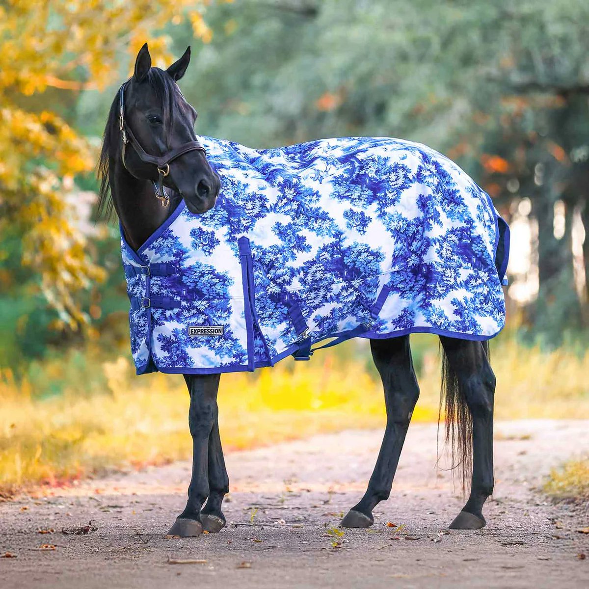 ShopJeffers's tweet photo. Jeffers Expression Horse Blankets: waterproof, breathable protection in distinctive patterns made to stand out. 

Which is your expression?