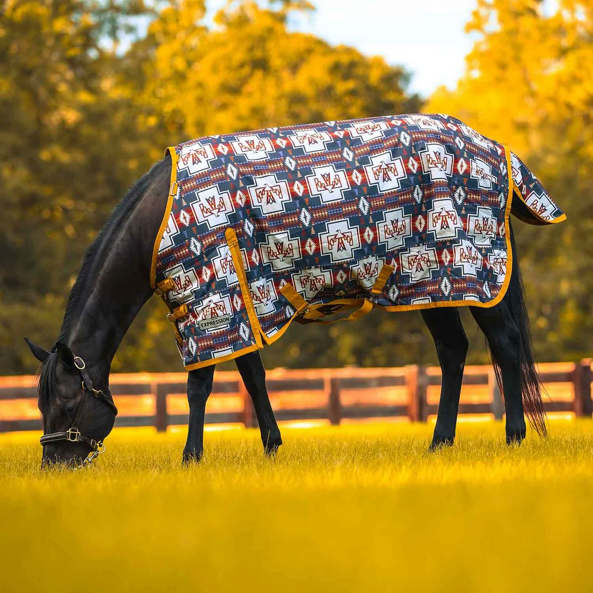 ShopJeffers's tweet photo. Jeffers Expression Horse Blankets: waterproof, breathable protection in distinctive patterns made to stand out. 

Which is your expression?
