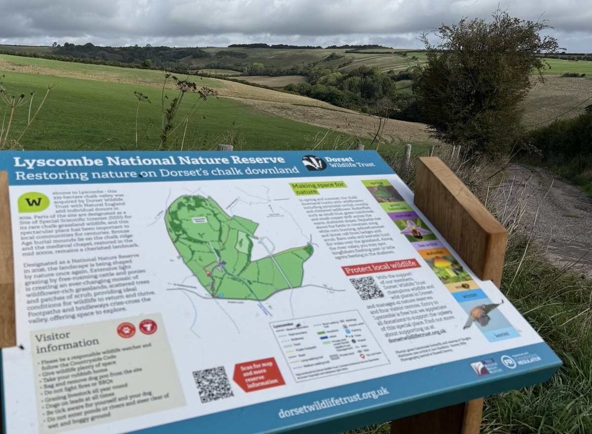 TonyJuniper's tweet photo. England’s newest National Nature Reserve was declared today: Lyscombe Down, Dorset. A spectacular landscape coming back to life. At @NaturalEngland we are very proud to have worked with @DorsetWildlife &amp; various amazing individuals to get this done, for everyone to enjoy forever. https://t.co/0sE6NC8C4O