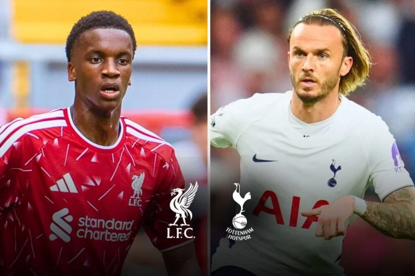 oddshq_'s tweet photo. Matchday: Liverpool vs. Tottenham 🏆

Spurs are winless in their last 17 trips to Anfield (0-5-12)

Moneyline: 
• Liverpool: -135 (1.74) 
• Draw: +300 (4.00) 
• Spurs: +310 (4.10)

Could they possibly get their first win in 15 years? https://t.co/MB0Xz1Pm4C
