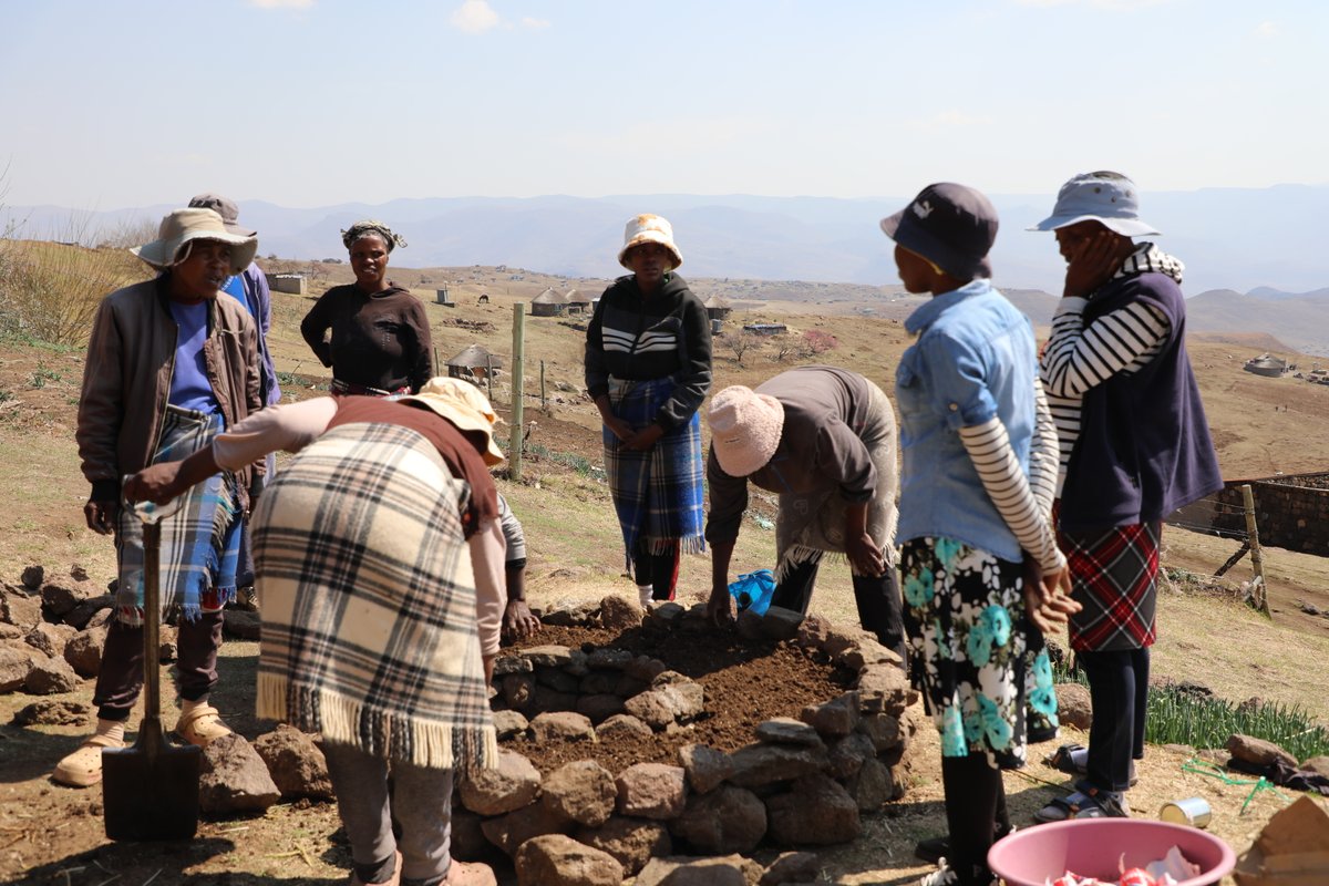 WorldvisionLS's tweet photo. 🌱What if climate-smart agriculture could help families achieve food security?

Through World Vision support communities in Maluba-Lube are gaining skills to grow food and build resilient livelihoods.
 Read more: https://t.co/D2kQAmOOpz https://t.co/DZnfwzcA5t